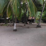 DSCF0096.JPG