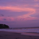 IMG_0198.JPG
