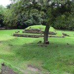 IMG_0248.JPG