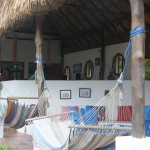 IMG_1443.JPG