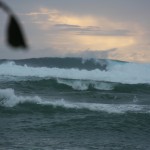 IMG_7478.JPG