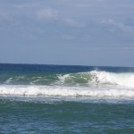 IMG_7542.JPG