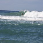 IMG_7588.JPG