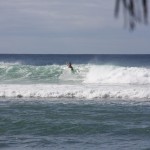 IMG_7649.JPG