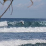 IMG_7790.JPG