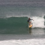 IMG_9353.JPG